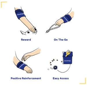 How to wear DGD