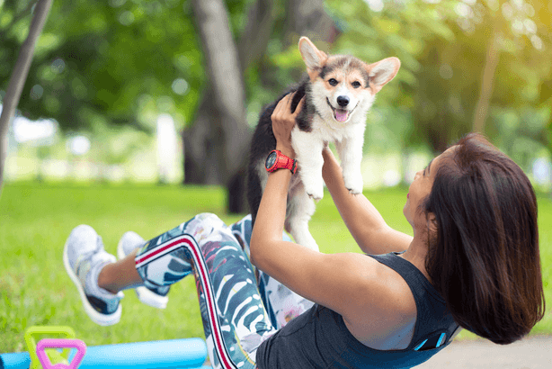 Free Dog Pilates Session + Free Beer or Wine
